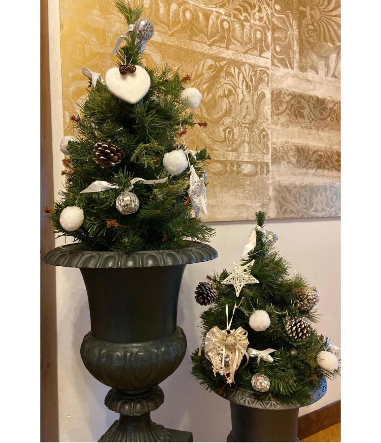 Albergo Garnì Cavento Pinzolo Exterior foto